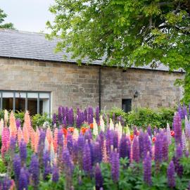 Chestnut Barn Cottage Whitby، فندق في Aislaby