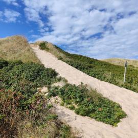 5 person holiday home in Ringkøbing, hotel v mestu Søndervig