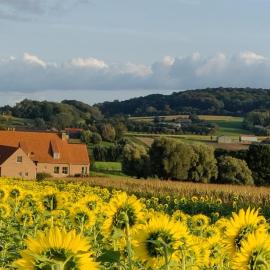 B&B De Zavelaar