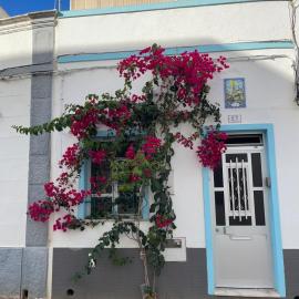 casa das irmas, maison de ville, Hotel in Olhão
