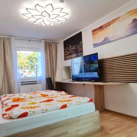 2 Room Flat near Uni Campus Siegen - BR
