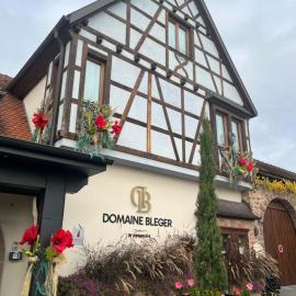 Domaine Bleger by Windmuehl, Hotel in Saint-Hippolyte
