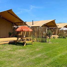 Safari lodge, hotel in Petten