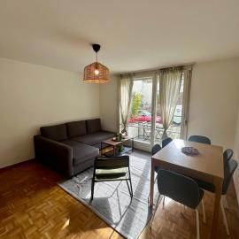 Basic Flat with Balcony in Zurich