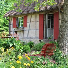 Rouge Eglantine