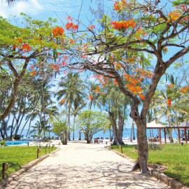 Kilili Baharini Resort & Spa، فندق في ماليندي