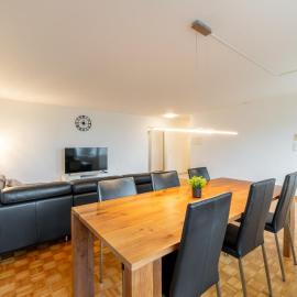 Swiss Suites Oberrohrdorf