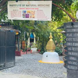 Institute Of Natural Medicine , Yoga & Therapy home