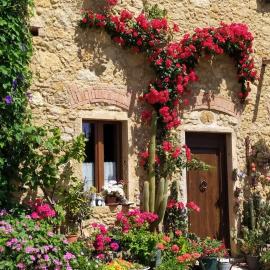 Alma Tuscany House