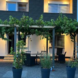 Pension Zur Linde