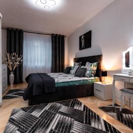 Luxury Riverside Apartment Băile Herculane