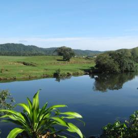 Daintree Riverview Lodges, hotel a Daintree