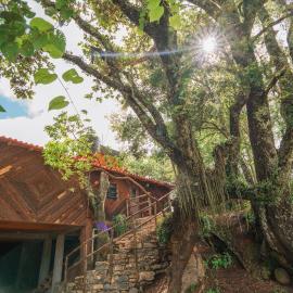 cabañas cruz verde, hotel v destinácii Pinal de Amoles
