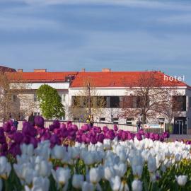 Strandhotel Alte Donau、ウィーンのホテル