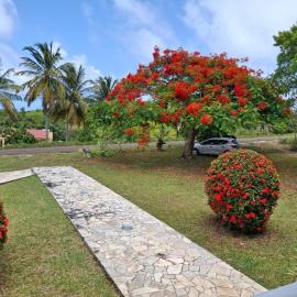 Le Flamboyant, hotel in Saint-Louis