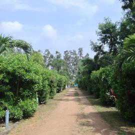 Hampi Blue Moon Resort、Munirābādのホテル