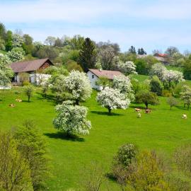 Ferienwohnung Vonwald