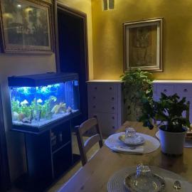 B&B Le Camelie, hotel sa Nettuno
