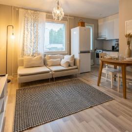 Viihtyisä huoneisto kaupungin keskustassa, Hotel in Kajaani