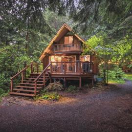 Nisqually Nest at Mount Rainier, hotel in Ashford
