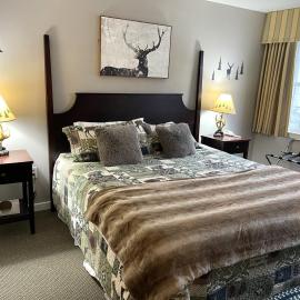 Ski On Off 1BR Suite 1st Flr Sleeps 4 Jiminy Peak, Hotel in Hancock