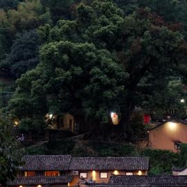 Mountain B&B-Songyang Yangjiatang Branch-, hotel in Danzhu