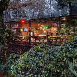 The Pinewood Lodge and Organic Farm, hotelli kohteessa Paragajen
