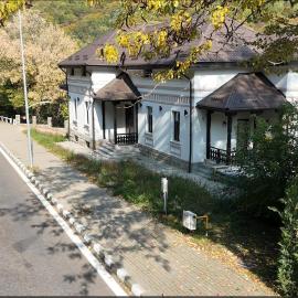 Bujorul Oltului