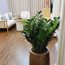 Big Sale Asian Style 1BR 1Bed Free Gym Pool, hotel di Phú Thú
