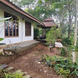 ภูริรักษ์ โฮมสเตย์, hotel in Ban Pha Saeng Lang