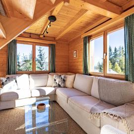 Les Collons में, होटल Esperanza SKI IN & SKI OUT chalet 8 pers