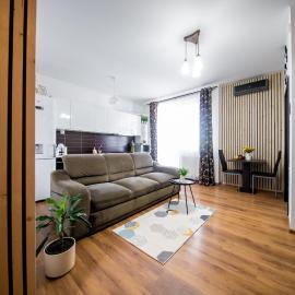 Penthouse View, hotel di Arad