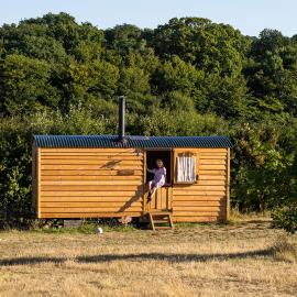 Honeysuckle Shepherds Hut at Blean Bees Eco Glamping