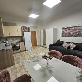 Kompletně vybavený byt s ložnicí v centru u divadla #HomeVibes50, hotel em Pardubice