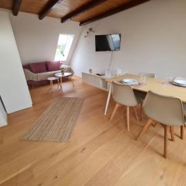 Studio Apartment for 1-2 People with Rhine View