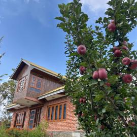 The Mool Farm and Living, hotelli kohteessa Tangmarg