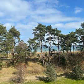 Fewo mit direktem Meerblick, 50 m zum Strand, mit Sauna und Pool, hotel en Baabe