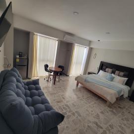 Suites & Lofts Olivier