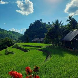 KowitFarmstay, hotel em Ban Mae Pan Noi