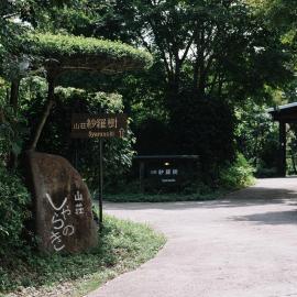 山荘 紗羅樹 Syaranoki