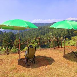 Ciwidey Jungle Camp & Cabin, hotel en Gambung