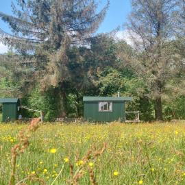 Shepherd's Hut Harmony at A Therapeutic Space, hotel u gradu 'Moniaive'