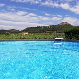 Spacieuse Villa au milieu des Vignes