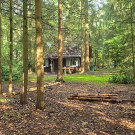 Idyllisch & ruhig - gemütliches Ferienhaus im Wald Hunde willkommen, in Hatten, nahe Oldenburg