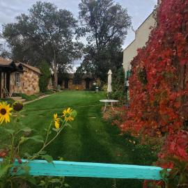 Grand Canyon Cabins, Hotel in Fredonia