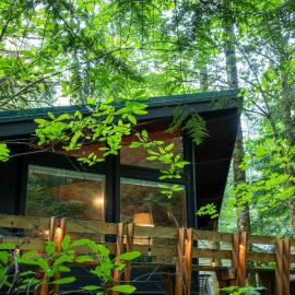 Mid-century Cabin Hideaway - Hot Tub & Fire Pit, hotel a Rhododendron