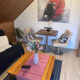 Apel Apartments 1, hotel in Nörten-Hardenberg
