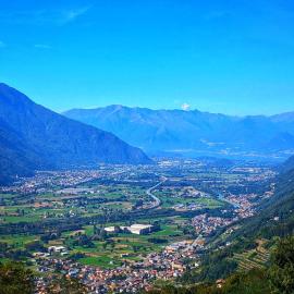 Il nido di Siro