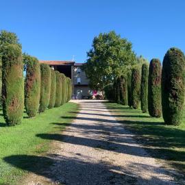 Agriturismo Corte Bonetti, hotel in Pescantina