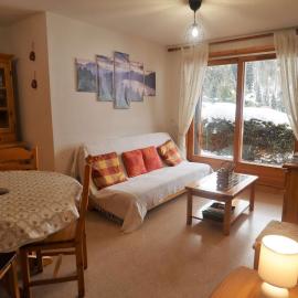 Appartement lumineux 2 chambres, parking, terrasse, proche commerces et pistes à Arêches-Beaufort